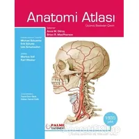 Anatomi Atlası Gilroy - Kolektif - Palme Yayıncılık