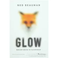Glow - Ned Beauman - Domingo Yayınevi