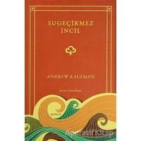 Su Geçirmez İncil - Andrew Kaufman - Domingo Yayınevi