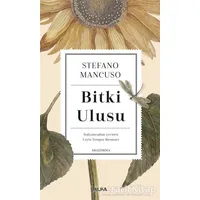 Bitki Ulusu - Stefano Mancuso - Alfa Yayınları