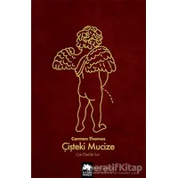 Çişteki Mucize - Çok Özel Bir İksir - Carmen Thomas - Eksik Parça Yayınları