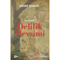 Darüşşifa - Delilik Mevsimi - Enver Şengül - Puslu Yayıncılık