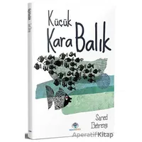 Küçük Kara Balık - Samed Behrengi - Mavi Nefes Yayınları
