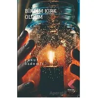 Birdim Kırk Oldum - Yusuf Özdemir - Klaros Yayınları