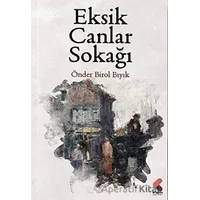 Eksik Canlar Sokağı - Önder Birol Bıyık - Klaros Yayınları