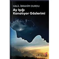 Ay Işığı Kanatıyor Gözlerimi - Halil İbrahim Durdu - Klaros Yayınları