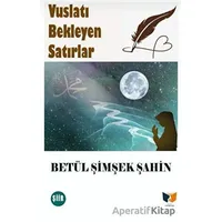 Vuslatı Bekleyen Satırlar - Betül Şimşek Şahin - Ateş Yayınları