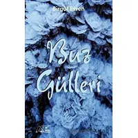 Buz Gülleri - Birgül Evren - Kuytu Yayınları