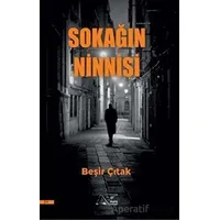 Sokağın Ninnisi - Beşir Çıtak - Kuytu Yayınları