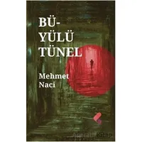 Büyülü Tünel - Mehmet Naci - Klaros Yayınları