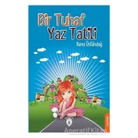Bir Tuhaf Yaz Tatili - Banu Üstündağ - Dorlion Yayınları