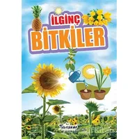 İlginç Bitkiler - Muhammet Cüneyt Özcan - Teleskop Popüler Bilim