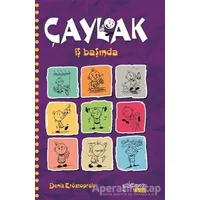 Çaylak - İş Başında - Deniz Eröztoprak - Yakamoz Yayınevi