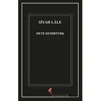 Siyah Lale - Mete Demirtürk - Klaros Yayınları