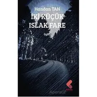 İki Küçük Islak Fare - Handan Tan - Klaros Yayınları