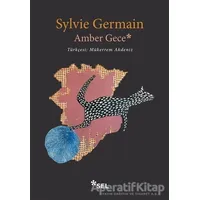 Amber Gece - Sylvie Germain - Sel Yayıncılık