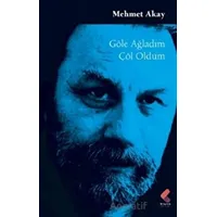 Göle Ağladım Çöl Oldum - Mehmet Akay - Klaros Yayınları