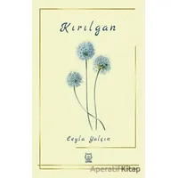 Kırılgan - Leyla Yalçın - Luna Yayınları