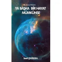 Ya Başka Bir Hayat Mümkünse - Sevil Çevirgen - Platanus Publishing