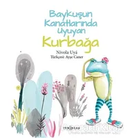 Baykuşun Kanatlarında Uyuyan Kurbağa - Nİvola Uya - Yeni İnsan Yayınevi