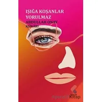 Işığa Koşanlar Yorulmaz - Aptullah Onay Aşikari - Klaros Yayınları