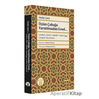 Üzüm Çubuğu Yaratılmadan Evvel... - Molla Cami - Büyüyen Ay Yayınları