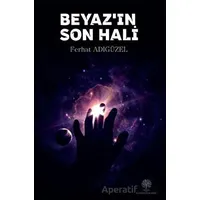 Beyazın Son Hali - Ferhat Adıgüzel - Platanus Publishing