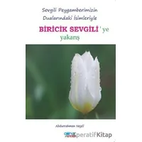 Biricik Sevgiliye Yakarış - Abdurrahman Neşeli - Gülnar Yayınları