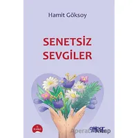 Senetsiz Sevgiler - Hamit Göksoy - Gülnar Yayınları