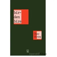 Birdenbire - Özay Güneş - Luna Yayınları