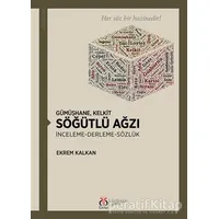 Gümüşhane Kelkit Söğütlü Ağzı - Ekrem Kalkan - DBY Yayınları