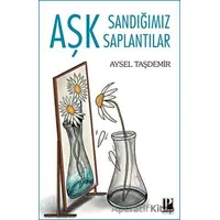 Aşk Sandığımız Saplantılar - Aysel Taşdemir - Pozitif Yayınları
