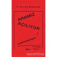 Aramız Açılıyor - Zeynep Kaplantaş - Şule Yayınları