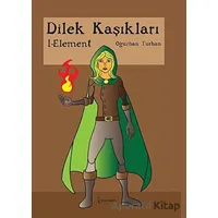 Dilek Kaşıkları - Oğuzhan Turhan - İkinci Adam Yayınları