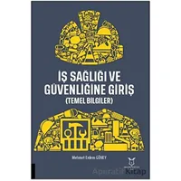 İş Sağlığı ve Güvenliğine Giriş - Mehmet Erdem Güney - Akademisyen Kitabevi