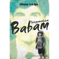 Tanıyamadığım Babam - Gülhanım Yirik Oğuz - Cinius Yayınları