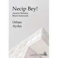 Necip Bey ! - Orhan Aydın - Luna Yayınları