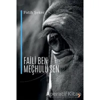 Faili Ben Meçhulü Sen - Fatih Şeker - Cinius Yayınları