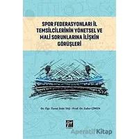 Spor Federasyonları İl Temsilcilerinin Yönetsel ve Mali Sorunlarına İlişkin Görüşleri