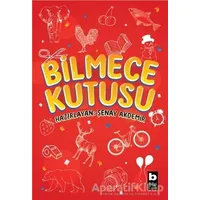 Bilmece Kutusu - Şenay Akdemir - Bilgi Yayınevi