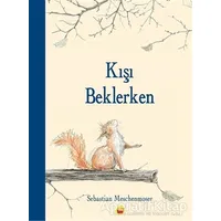 Kışı Beklerken - Sebastian Meschenmoser - Kuraldışı Yayınevi