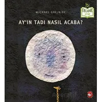 Ayın Tadı Nasıl Acaba? - Michael Grejniec - Beyaz Balina Yayınları