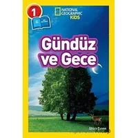 Gündüz ve Gece - Seviye 1 - Shira Evans - Beta Kids