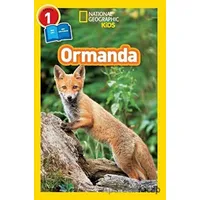 Ormanda - Seviye 1 - Shira Evans - Beta Kids