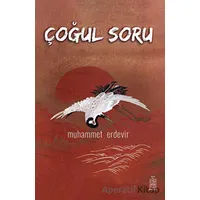Çoğul Soru - Muhammet Erdevir - Mavi Gök Yayınları