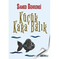 Küçük Kara Balık - Samed Behrengi - Sen Yayınları