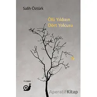 Ölü Yıldızın Dört Yolcusu - Salih Öztürk - Sakin Kitap
