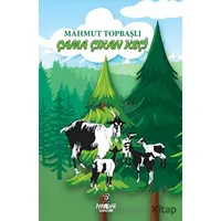 Çama Çıkan Keçi - Mahmut Topbaşlı - Payidar Çocuk