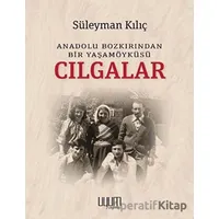 Cılgalar: Anadolu Bozkırından Bir Yaşamöyküsü - Süleyman Kılıç - Uyum Yayınları