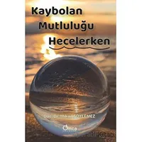 Kaybolan Mutluluğu Hecelerken - Mikail Söylemez - Omca Yayınları